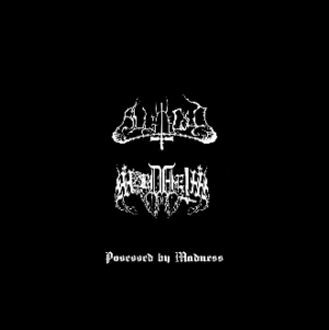 All the Cold - Possessed by Madness