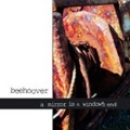 Beehoover - A Mirror Is a Window's End