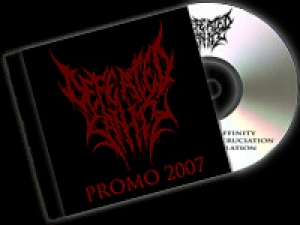Defeated Sanity - Promo 2007