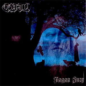Evil - Pagan Fury