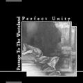 Perfect Unity - Passage To The Wasteland EP