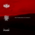 Vérzivatar - Deep Horizons of Eternity