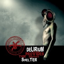 a_losing_season_Delirium_Provides_The_Safest_Shelter_2010