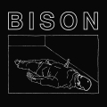 Bison B.C. - One Thousand Needles