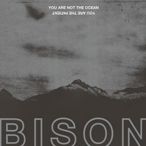 Bison B.C. - You Are Not the Ocean You Are the Patient