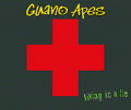 Guano Apes - Living A Lie