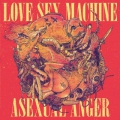 Love Sex Machine - Asexual Anger