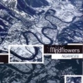 Mindflowers - Nuances