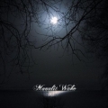 Moonlit Wake - Demo