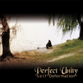 Perfect Unity - Self-Deformation EP