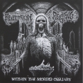 Revel in Flesh - Within the Morbid Ossuary