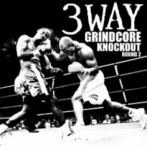 Splitter - 3 Way Grindcore Knockout Round 2