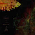 The 3rd And The Mortal - In This Room