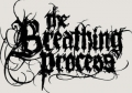 The_Breathing_Process