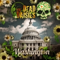 The Dead Daisies - Washington