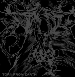 Torn from Earth  - Torn from Earth