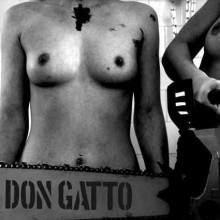 Don_Gatto_Demo_2010_2010