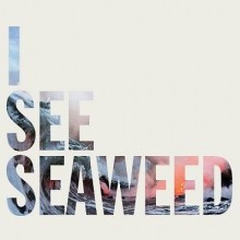 The_Drones_I_See_Seaweed_2013