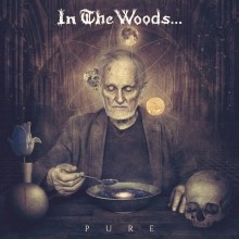 In_The_Woods_Pure_2016