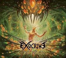 Exocrine_Ascension_2017